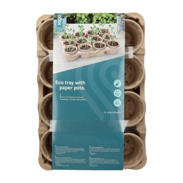 SOGO Eco kweektray incl. 12 paperpots
