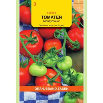 oranjeband-tomaten-moneymaker