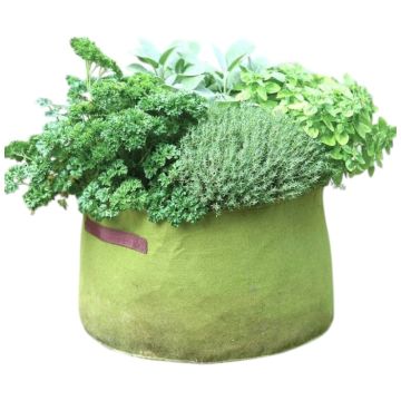 Vigoroot Groente Plantzak 40 liter op de grond