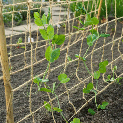 Nature Klimnet voor planten 1x3 m naturel jute impressie