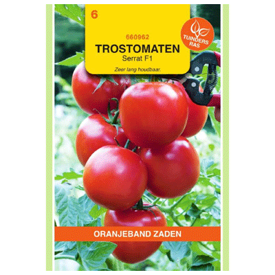 Oranjeband Trostomaten Serrat F1