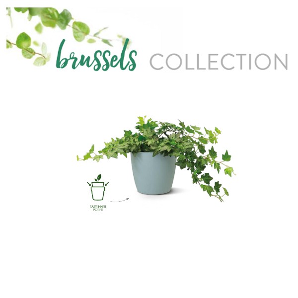 Elho Brussels collectie