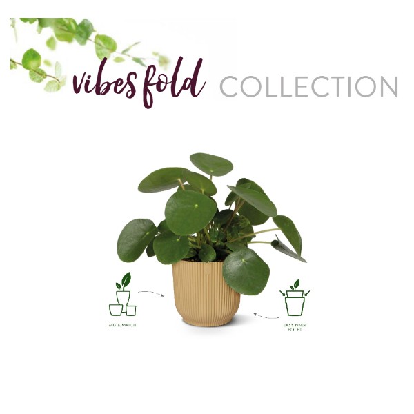 Elho Vibes Fold collectie